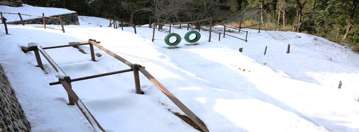 1024/Aamari Resort - Nainital 16.jpg